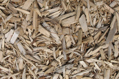 biomass boilers Linsiadar
