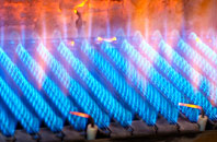 Linsiadar gas fired boilers